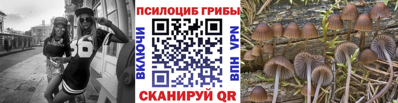 Псилоцибиновые грибы GOLDEN TEACHER наркота Чайковский